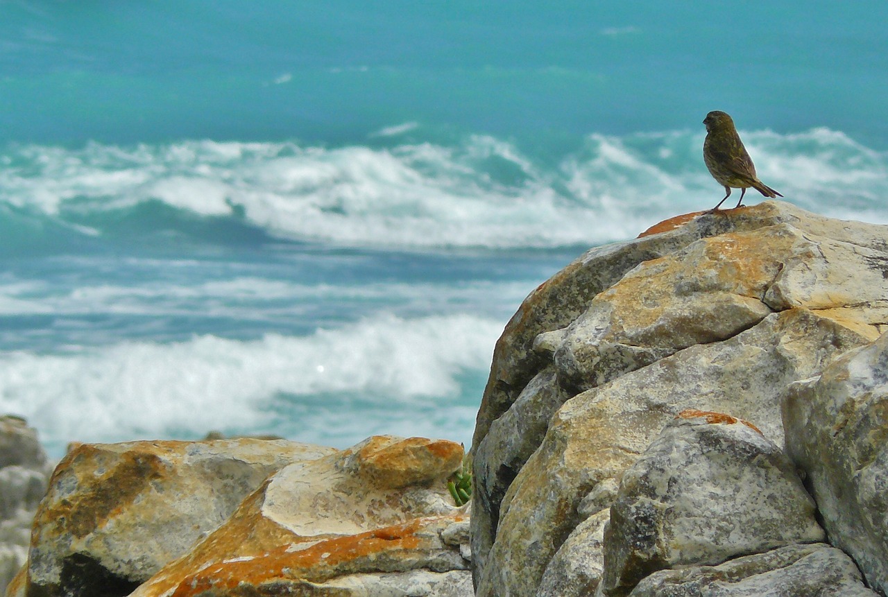 Eco-Friendly Ways to Enjoy the United States’ Rocky Mountains